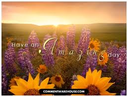 Have an Amazing Day (commentwarehouse.com)